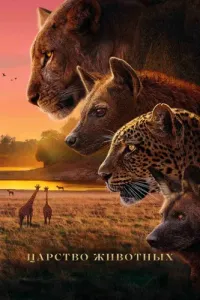 Царство животных (2025) смотреть онлайн